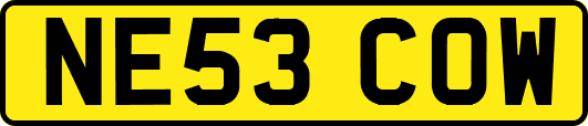 NE53COW
