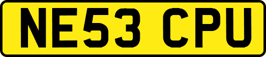 NE53CPU