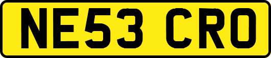 NE53CRO