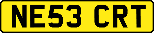 NE53CRT