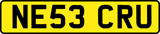 NE53CRU
