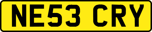NE53CRY