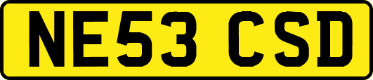 NE53CSD