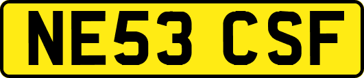 NE53CSF