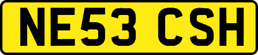 NE53CSH