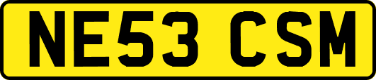 NE53CSM