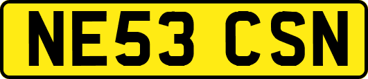 NE53CSN