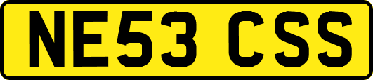 NE53CSS
