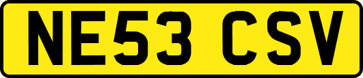 NE53CSV
