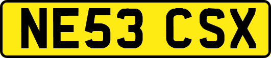 NE53CSX