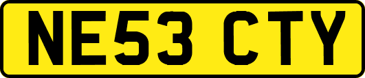 NE53CTY