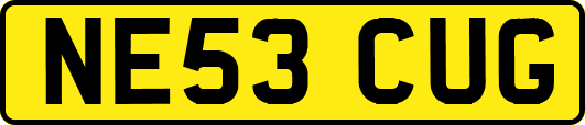 NE53CUG