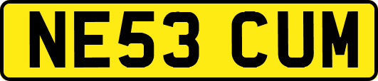 NE53CUM