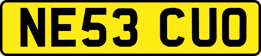 NE53CUO