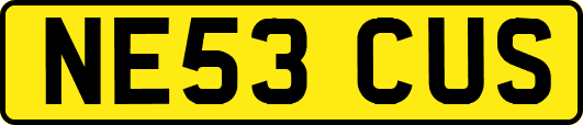 NE53CUS