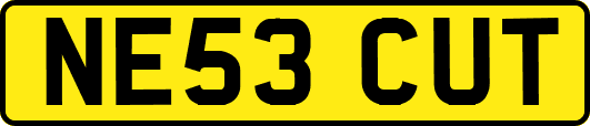 NE53CUT