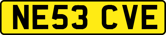 NE53CVE
