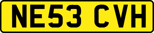 NE53CVH