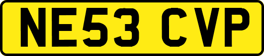 NE53CVP