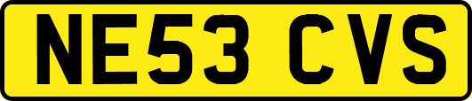 NE53CVS