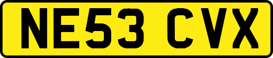 NE53CVX