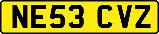 NE53CVZ