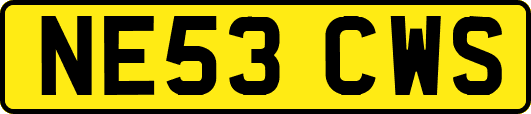 NE53CWS