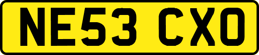 NE53CXO