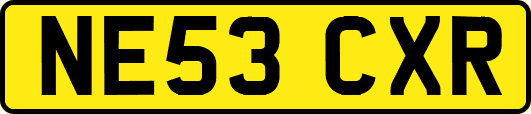 NE53CXR