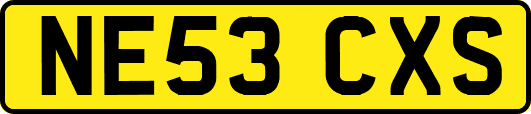 NE53CXS