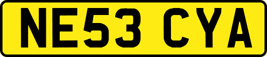 NE53CYA
