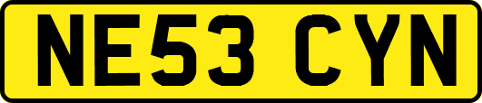 NE53CYN