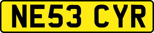 NE53CYR