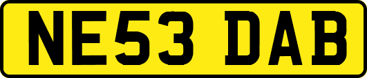 NE53DAB