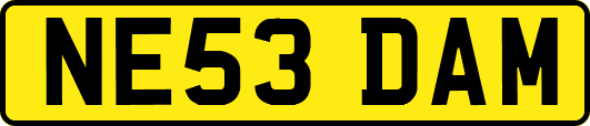 NE53DAM