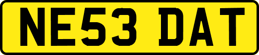 NE53DAT
