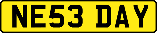 NE53DAY
