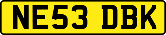 NE53DBK