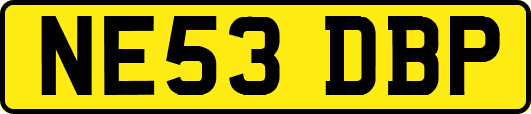 NE53DBP