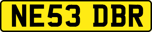 NE53DBR