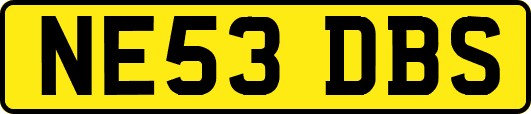 NE53DBS