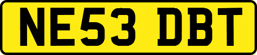 NE53DBT