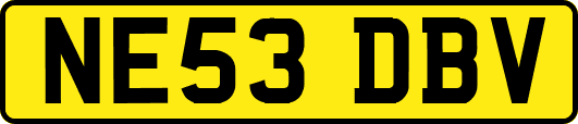NE53DBV