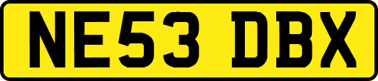 NE53DBX