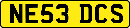 NE53DCS