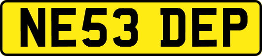 NE53DEP