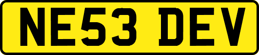 NE53DEV