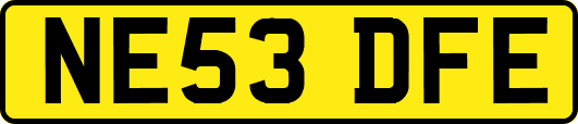 NE53DFE
