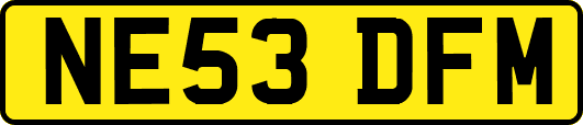 NE53DFM