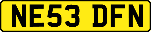 NE53DFN